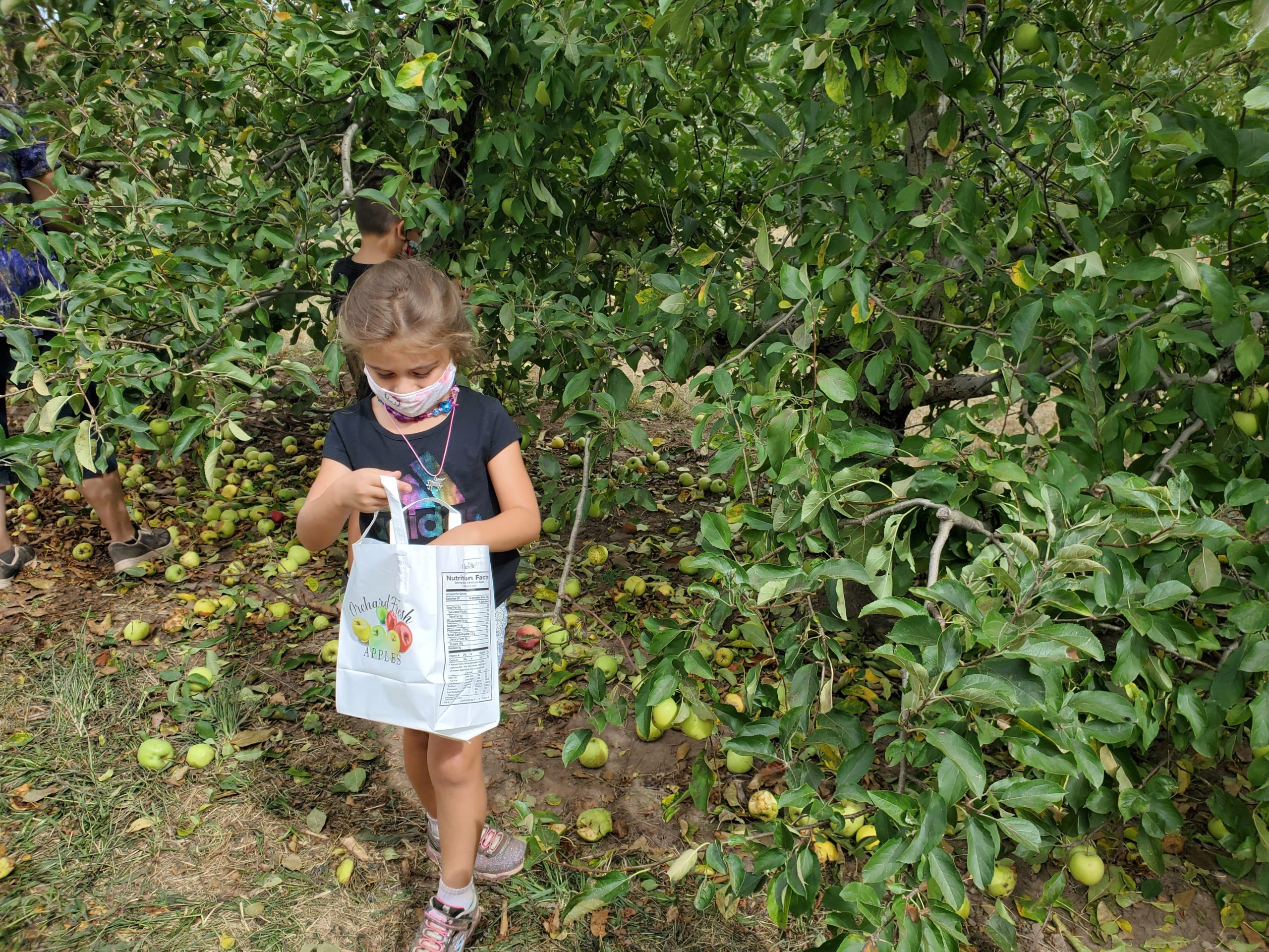 Join us for Apple Picking